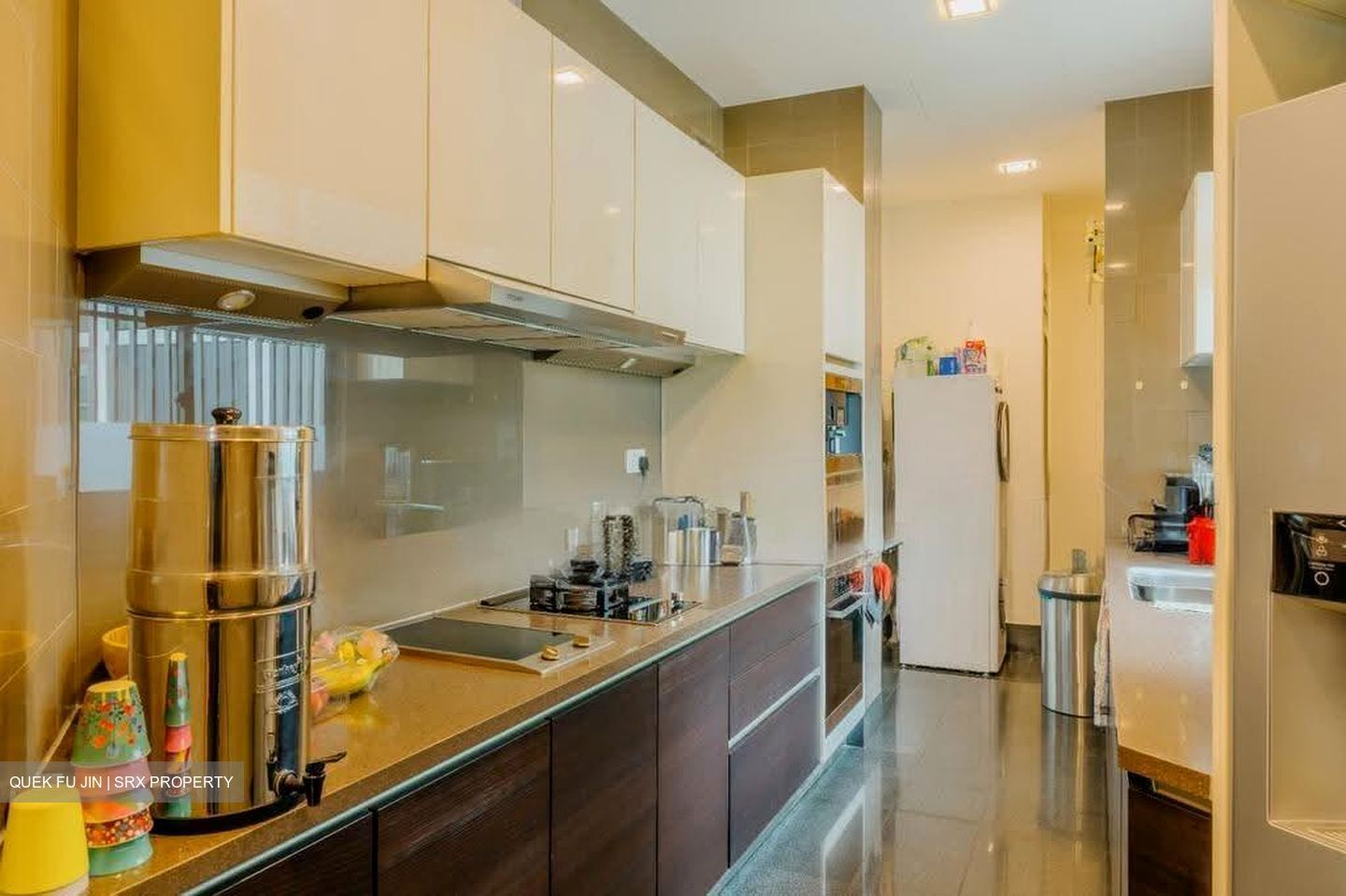 Belle Vue Residences (D9), Condominium #613404701